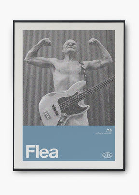 Quadro Flea Silver