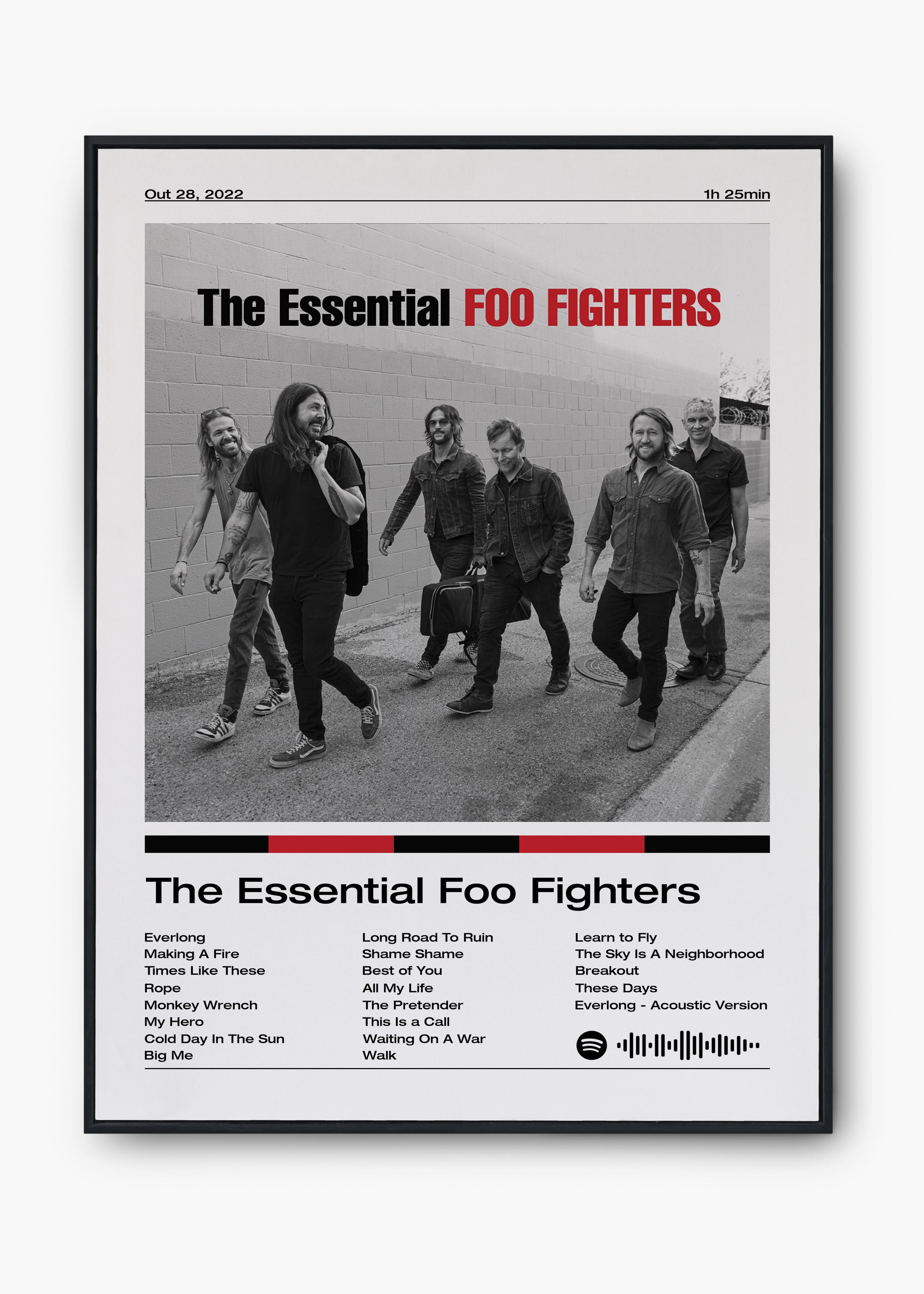 Quadro Foo Fighters The Essential