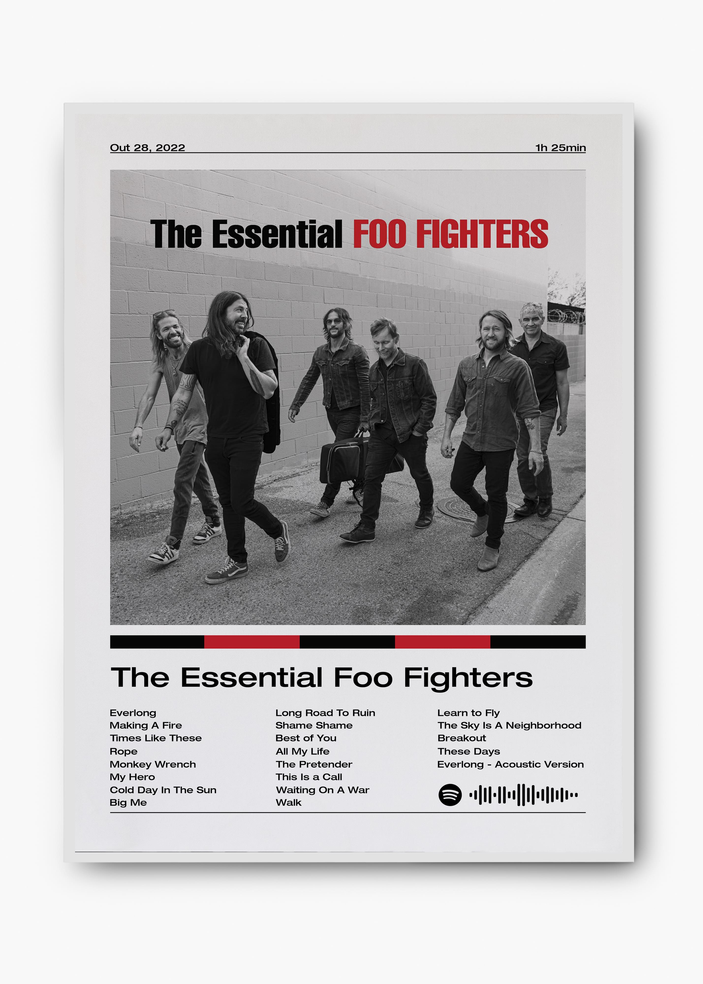 Quadro Foo Fighters The Essential