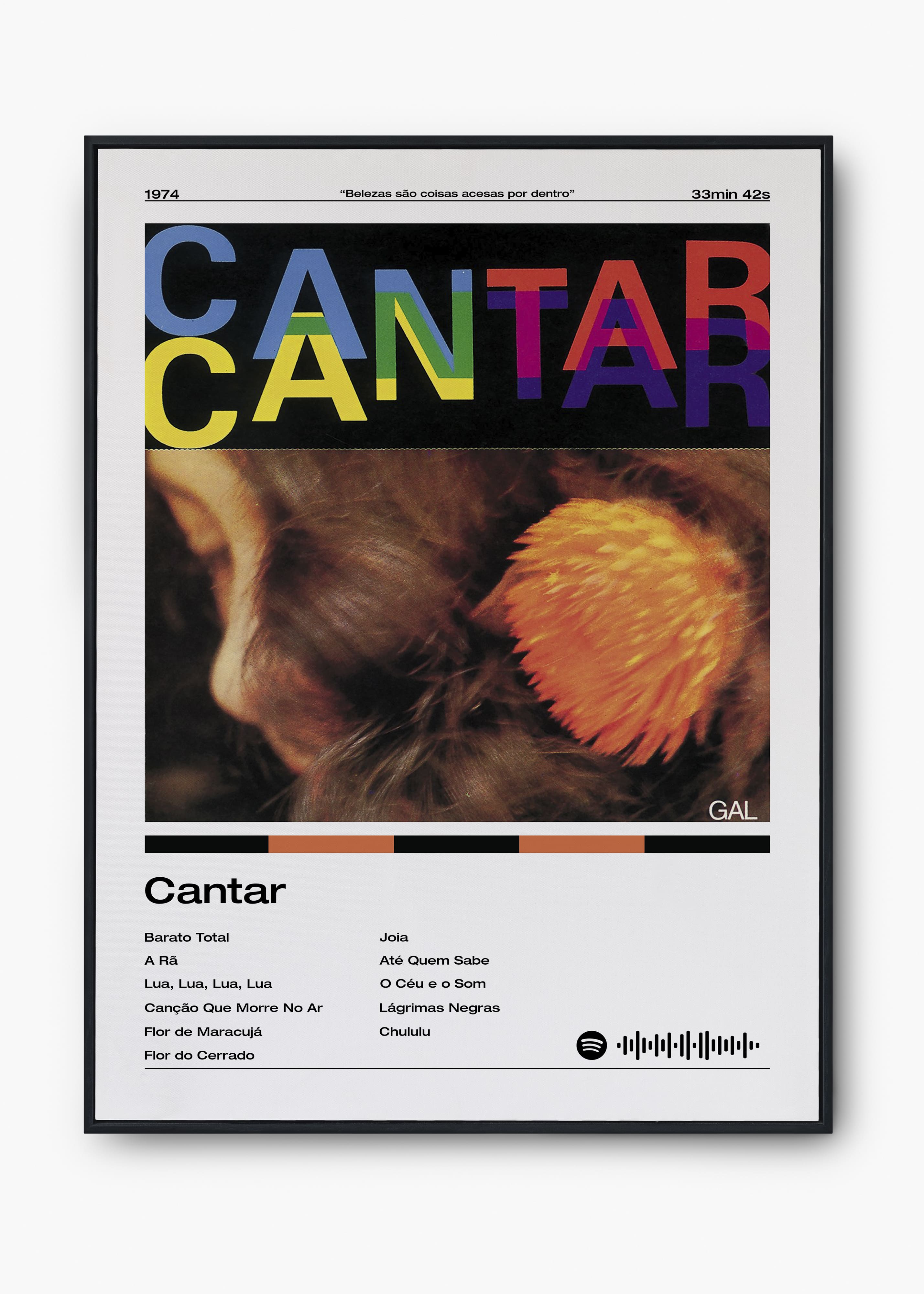 Quadro Gal Costa Cantar
