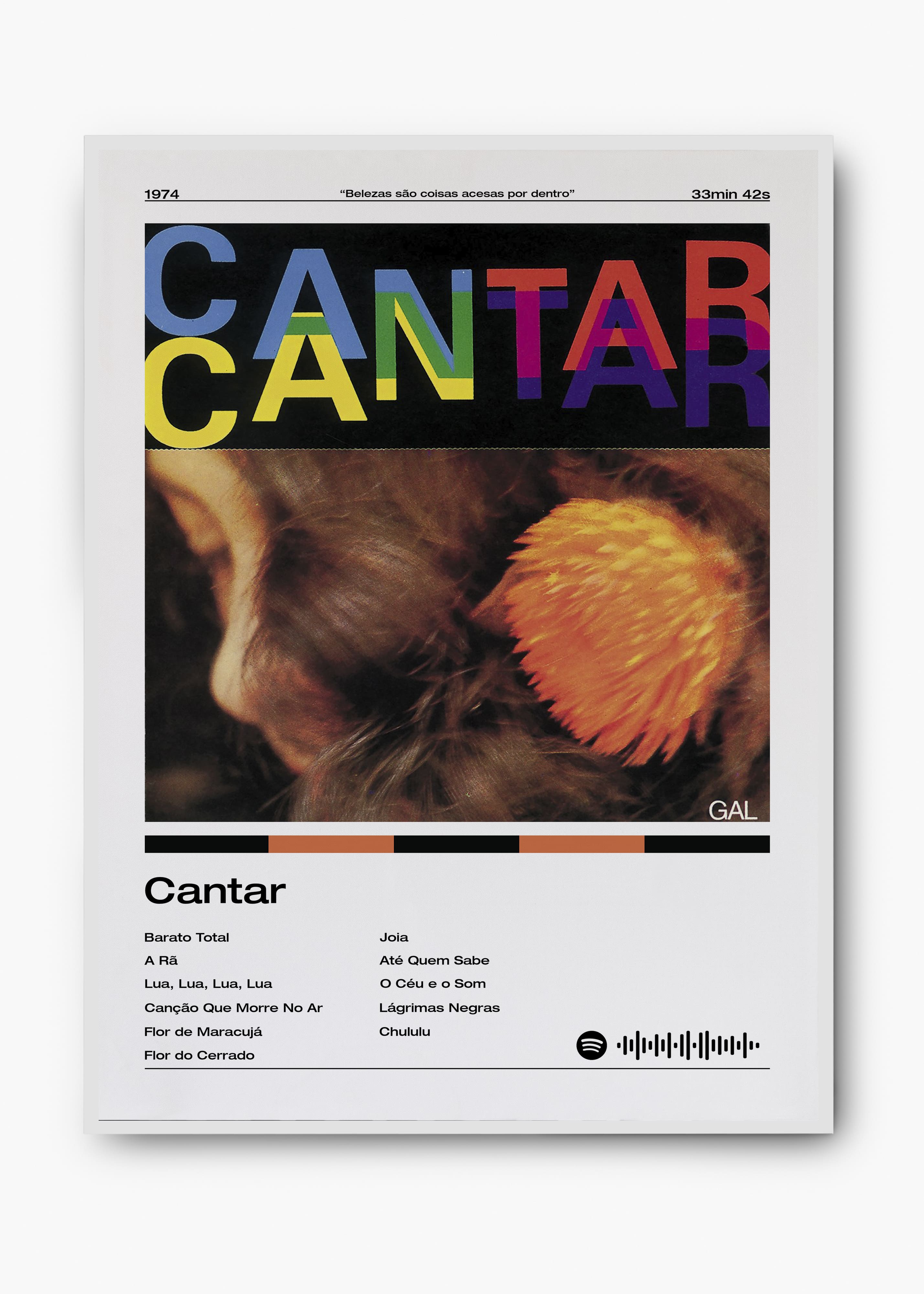 Quadro Gal Costa Cantar