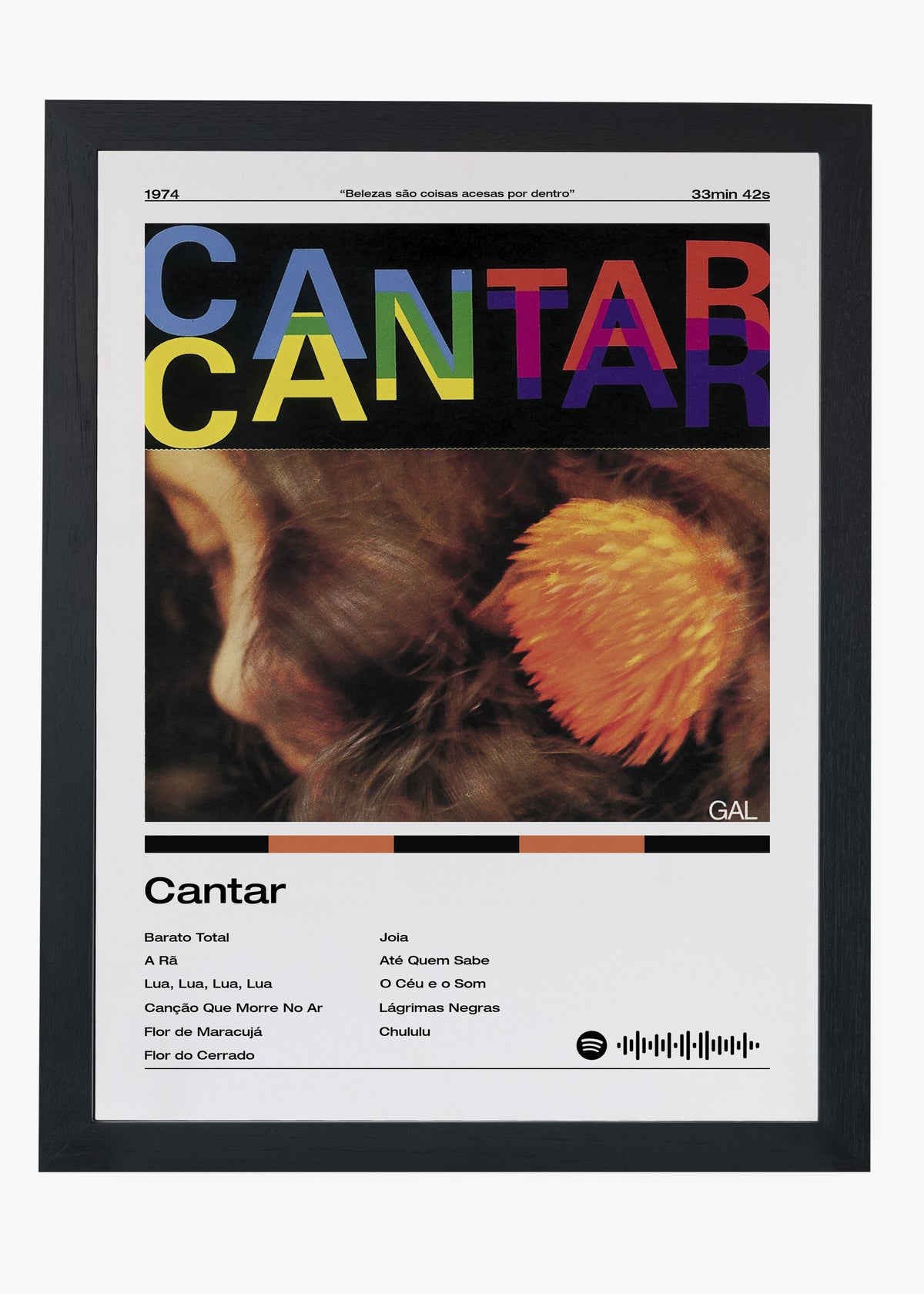 Quadro decorativo Gal Costa Cantar — arte musical brasileira para parede | Cübe Quadros