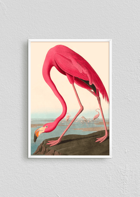 Quadro Flamingo