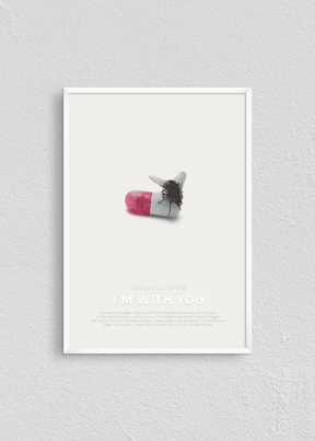 Quadro Red Hot Chili Peppers I'm With You Capa