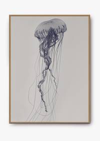 Quadro Jellyfish