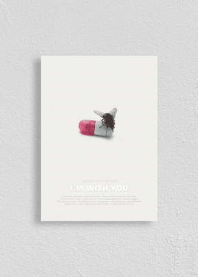 Quadro Red Hot Chili Peppers I'm With You Capa