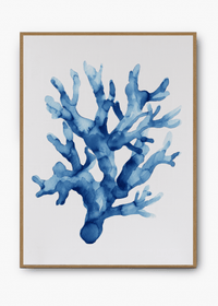 Quadro Coral II