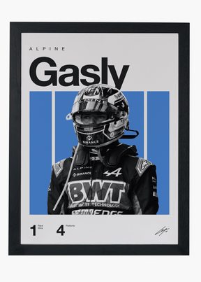 Quadro Pierre Gasly F1