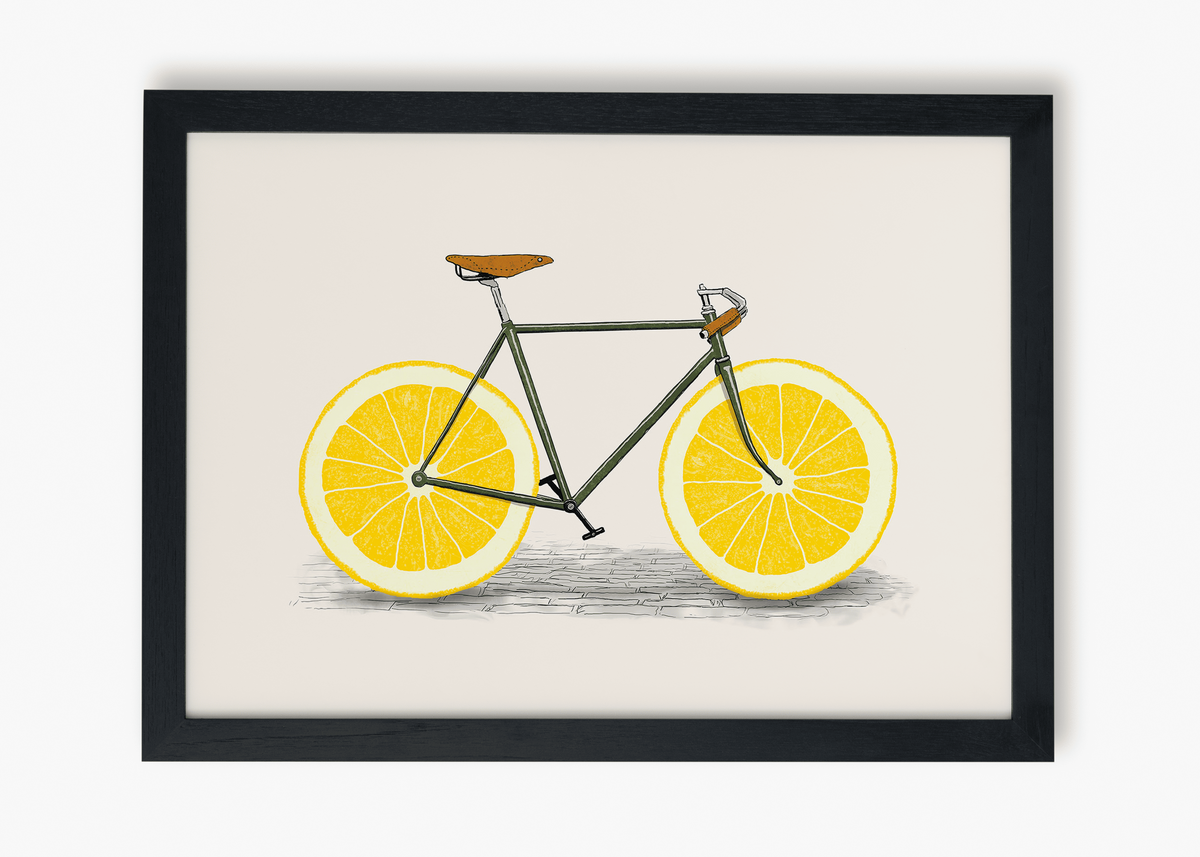 Quadro Bicicleta Lima