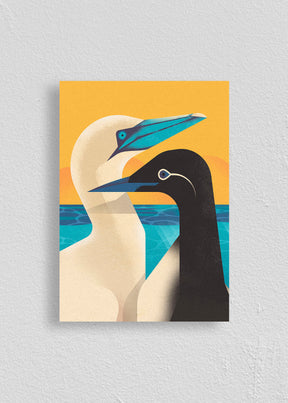 Quadro Birds