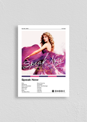 Quadro Taylor Swift Speak Now